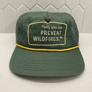The Landmark Project Smokey "Only You Can Prevent Wildfires" Roper Snapback Hat
